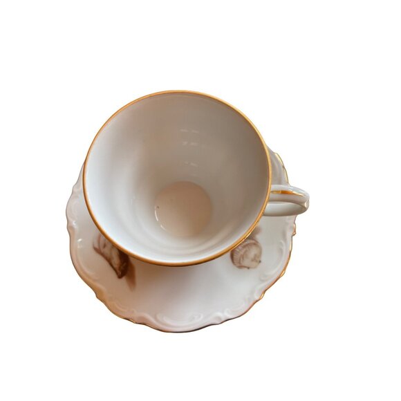 Cup Saucer Western Germany Sea Shore Shells Made in OTCO Bavaria West Germany - Picture 2 of 9